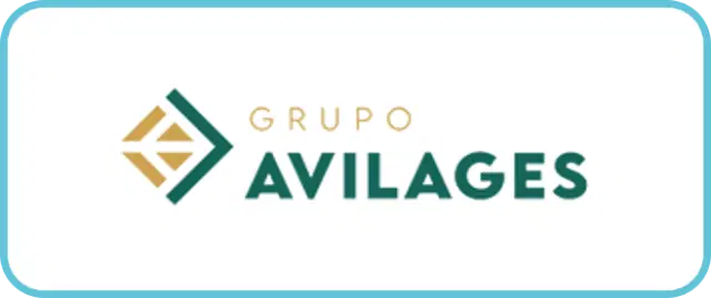 Grupo Avilages